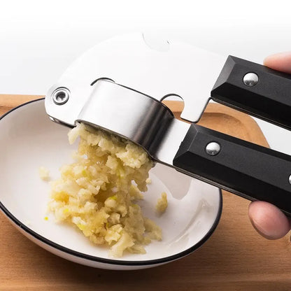 Easy Press Stainless Steel Garlic Crusher